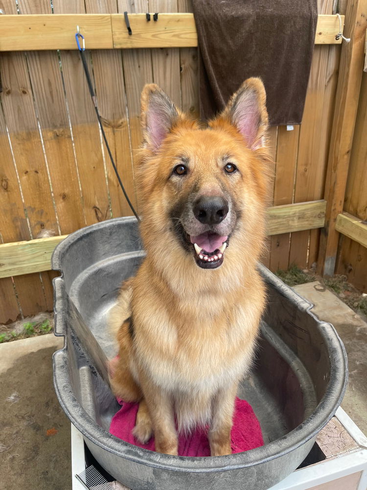 Bath Day!
