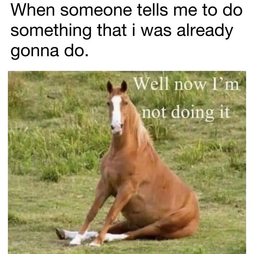 🙃🙂