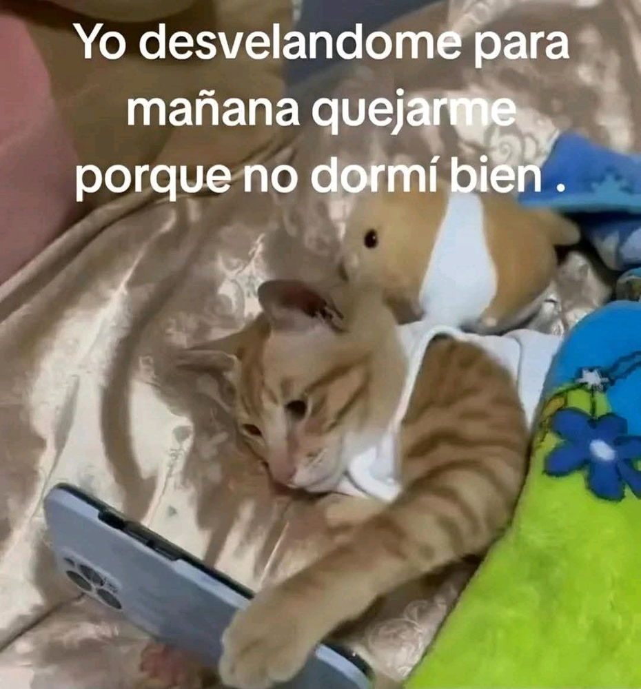 🤣