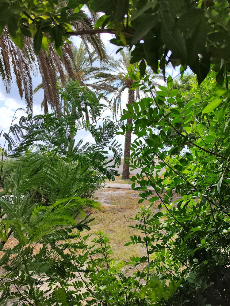 Nice day.