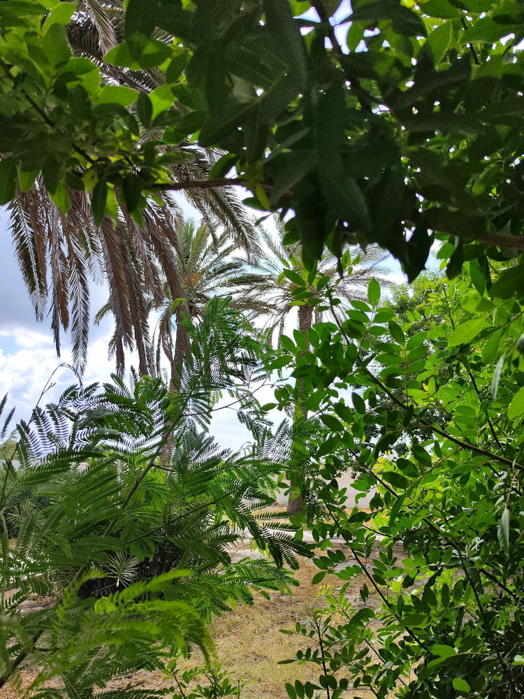Nice day.