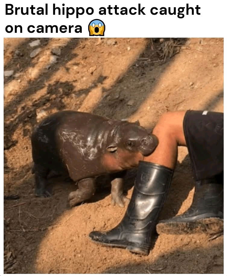💀
