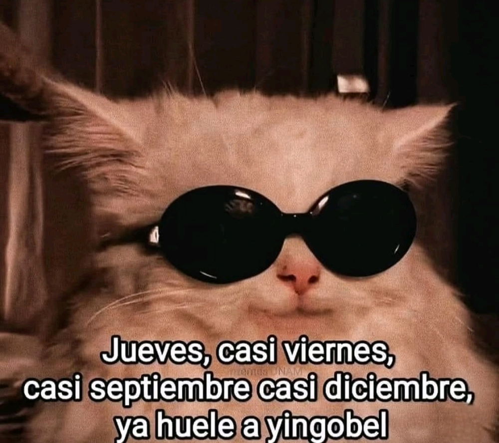 Jueves 😄