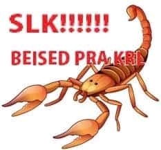 SEI LA. ANIME