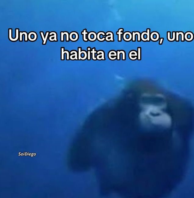 Tocando fondo?