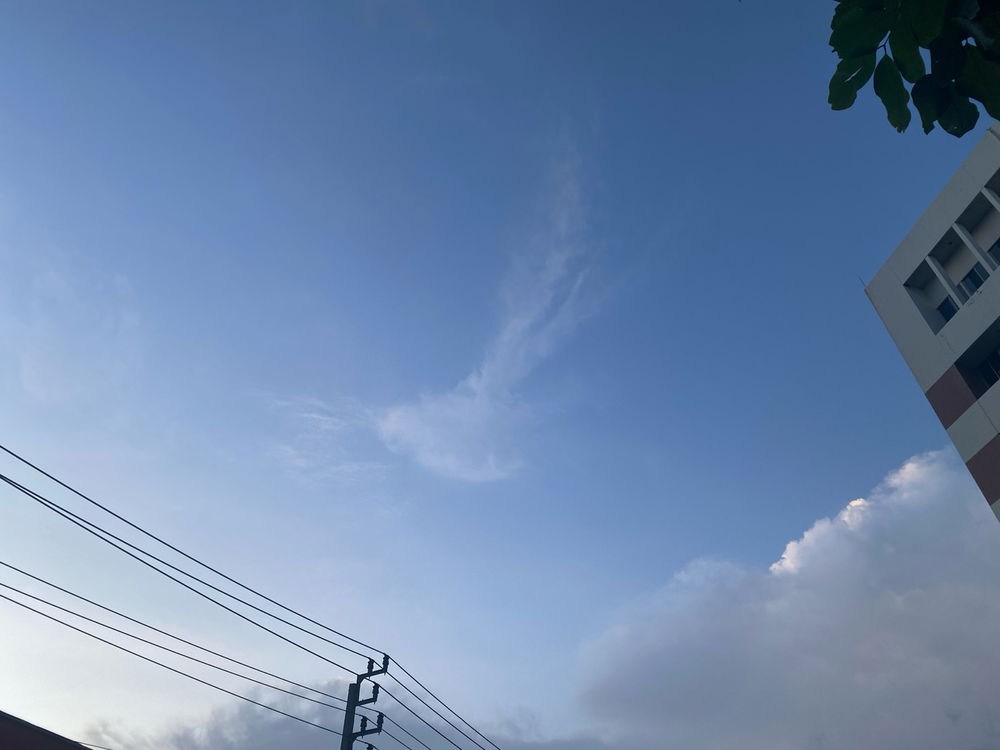 Do you see anything?