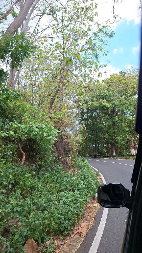 Nature