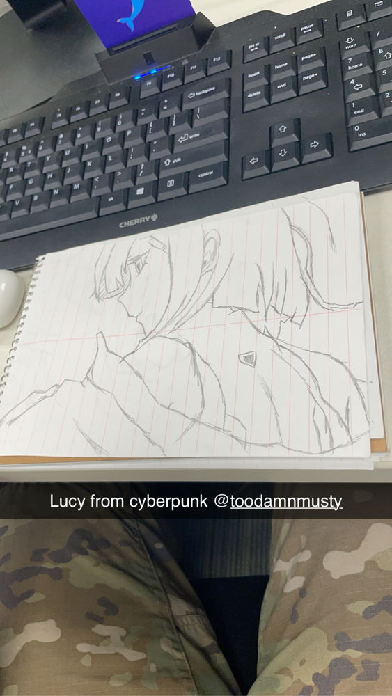 Lucy, work stuff, beerus, and Christmas link