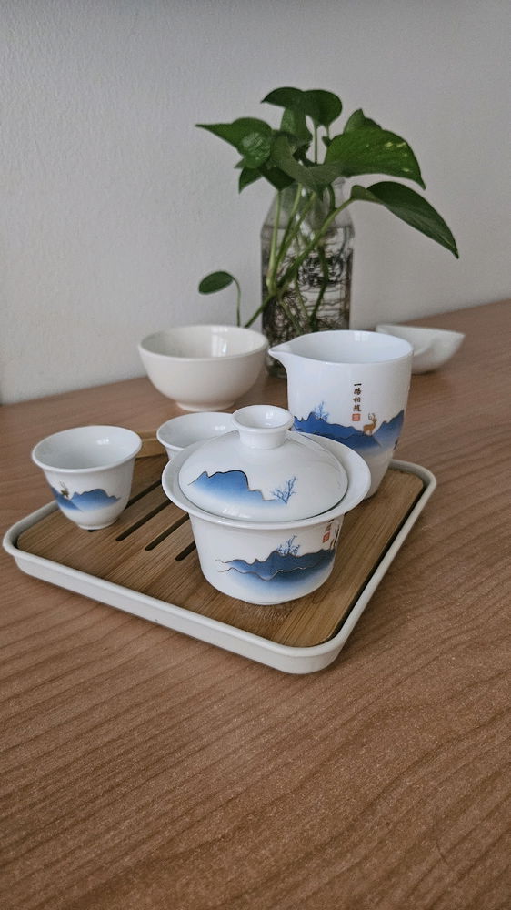 A qualcuno piace studiare il tè? Fare degustazioni? Uso spesso il gaiwan