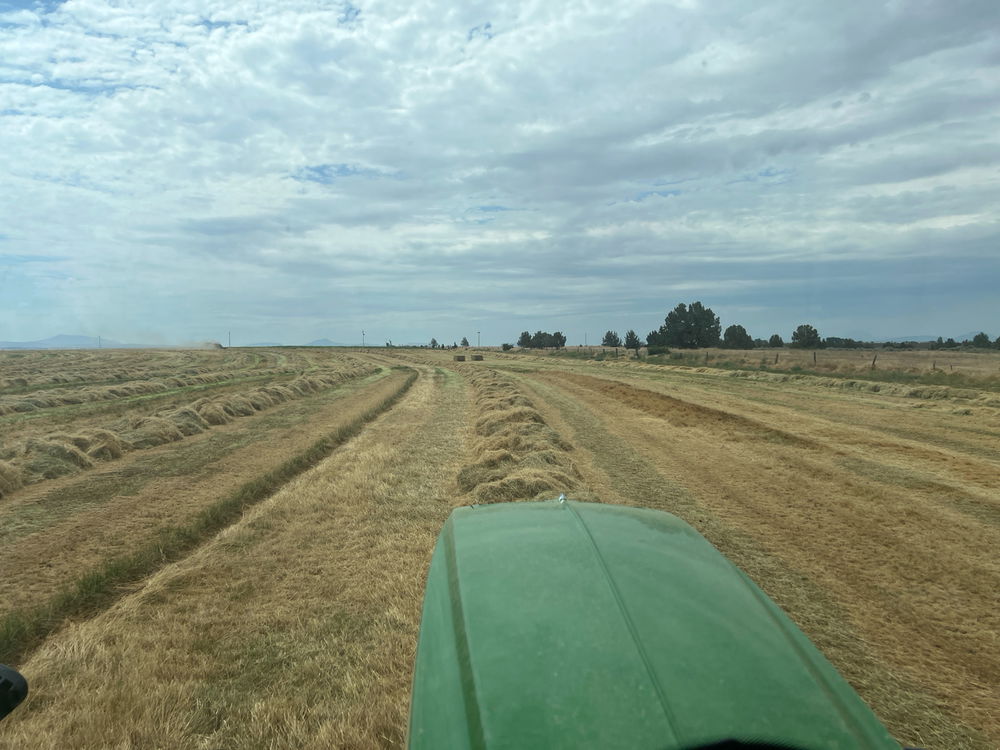 Farming life