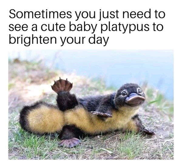 😍