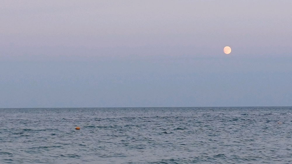 🇺🇦 Odesa 🌊