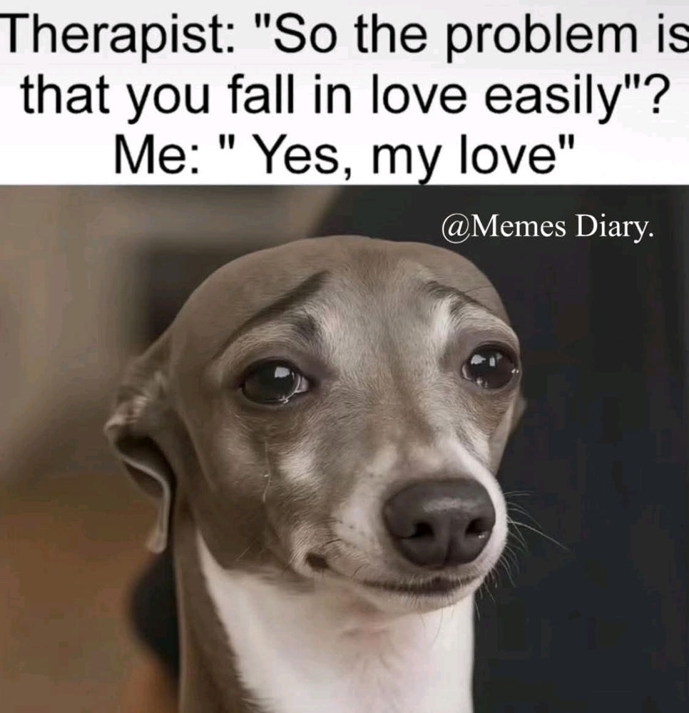 Memes