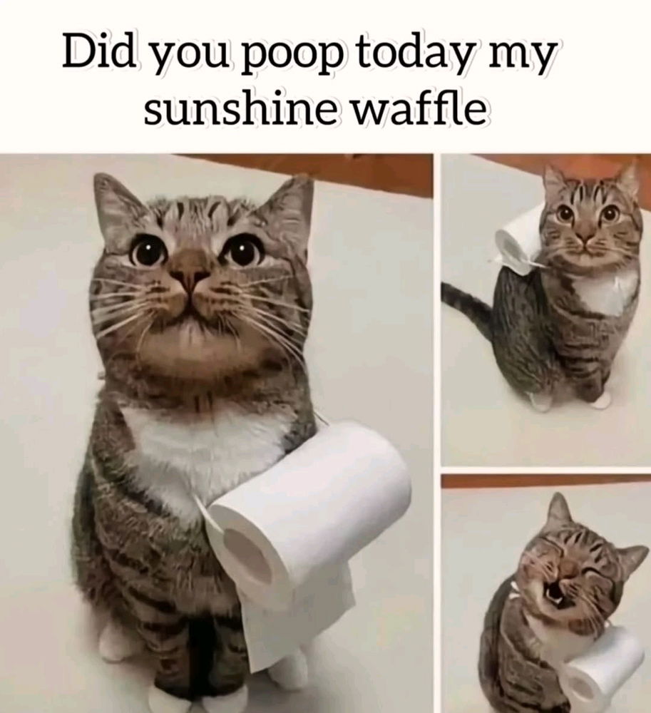 😭😆