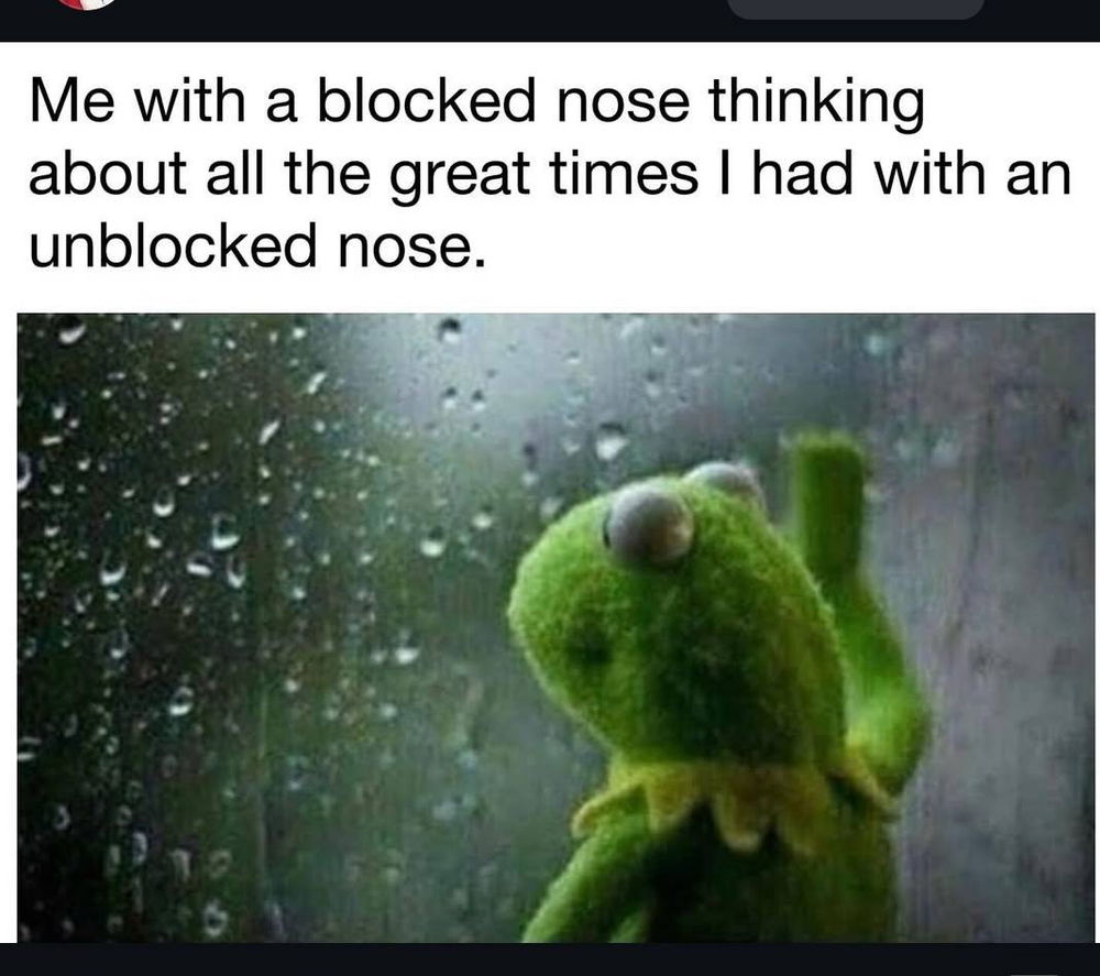 Took my big nose for granted.. 😞