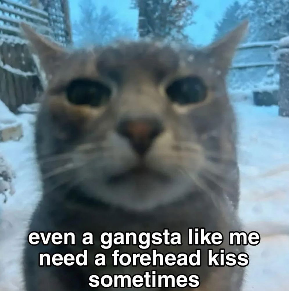 Yup