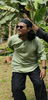 Gibut